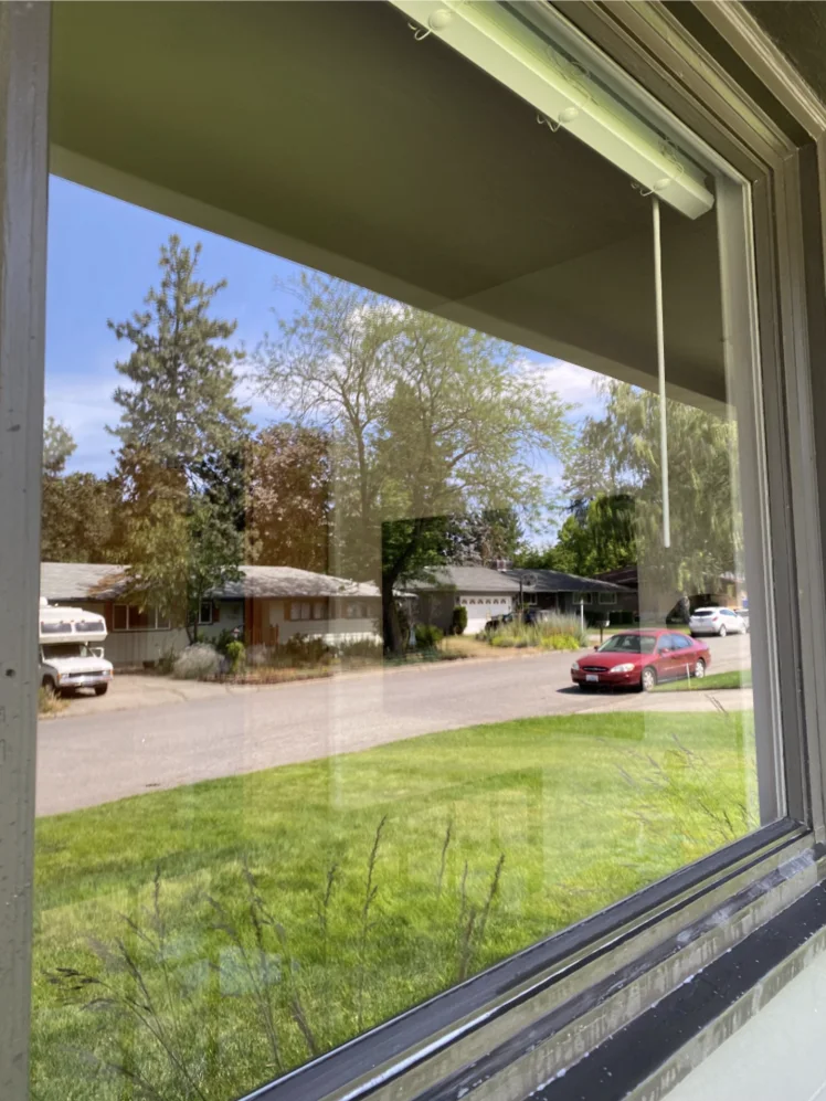 The same exterior residential window after cleaning with clearer glass and a brighter view